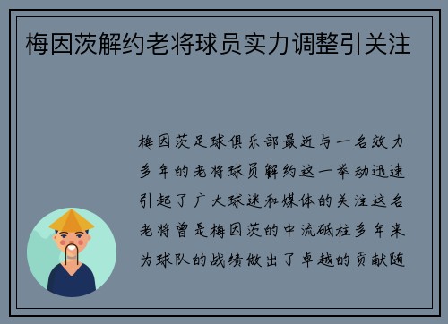 梅因茨解约老将球员实力调整引关注